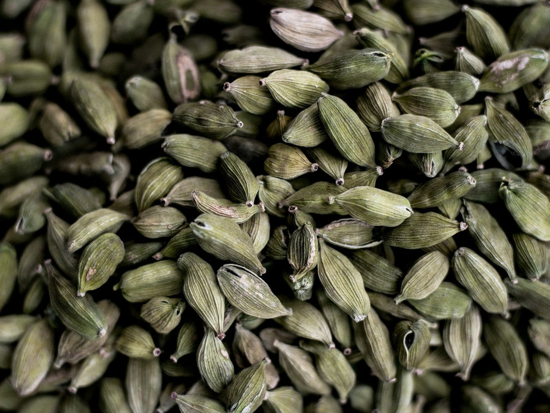 Unveiling the digestive marvels of cardamom - eq state