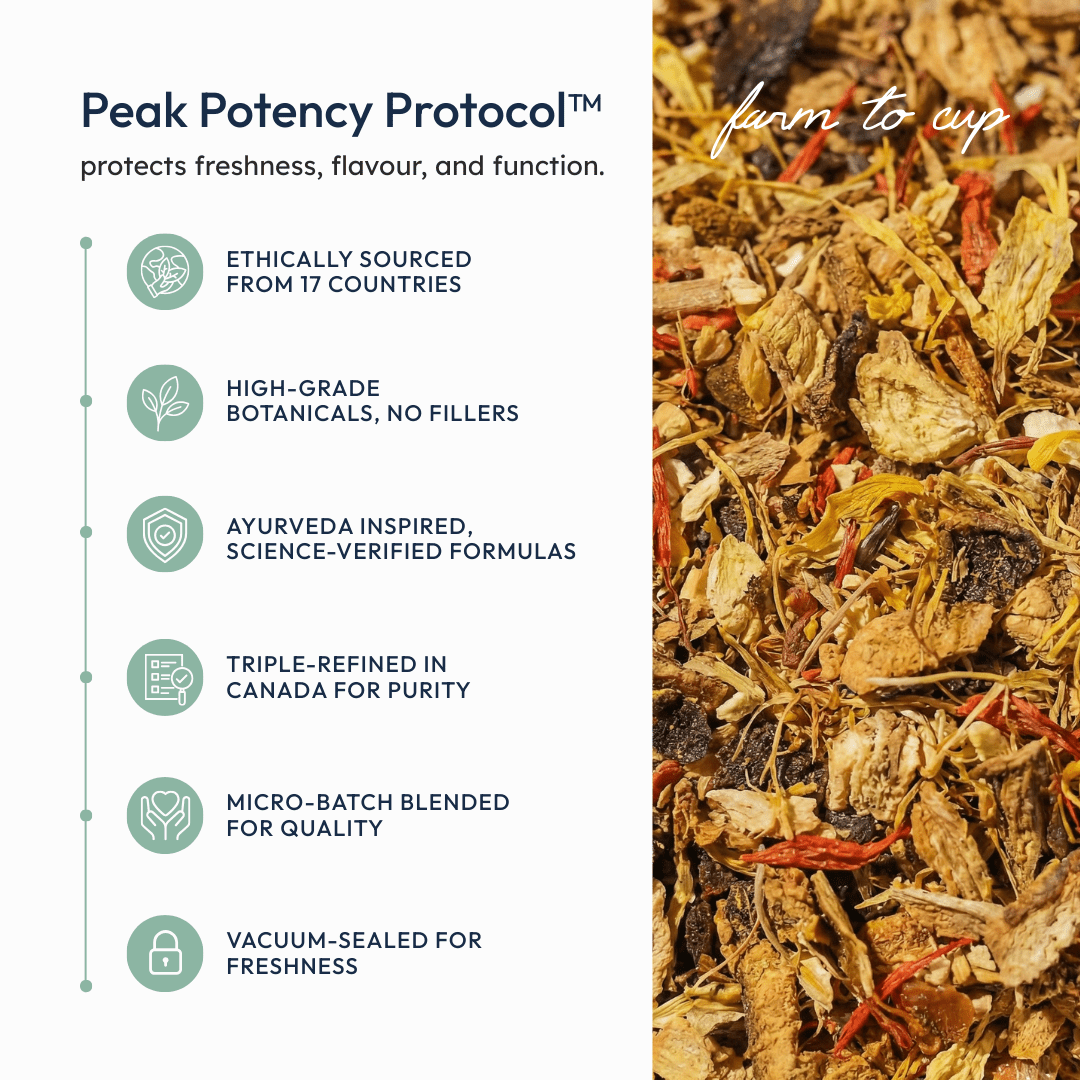 Ginger Lemon Aid - EQ State