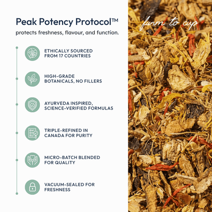 Ginger Lemon Aid - EQ State