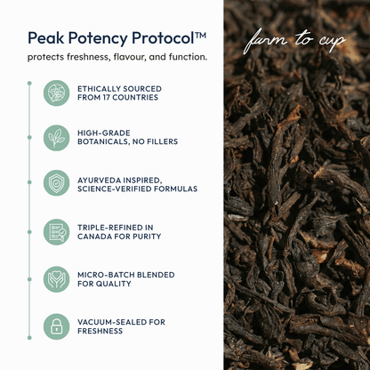 Gold Tip Pekoe - EQ State