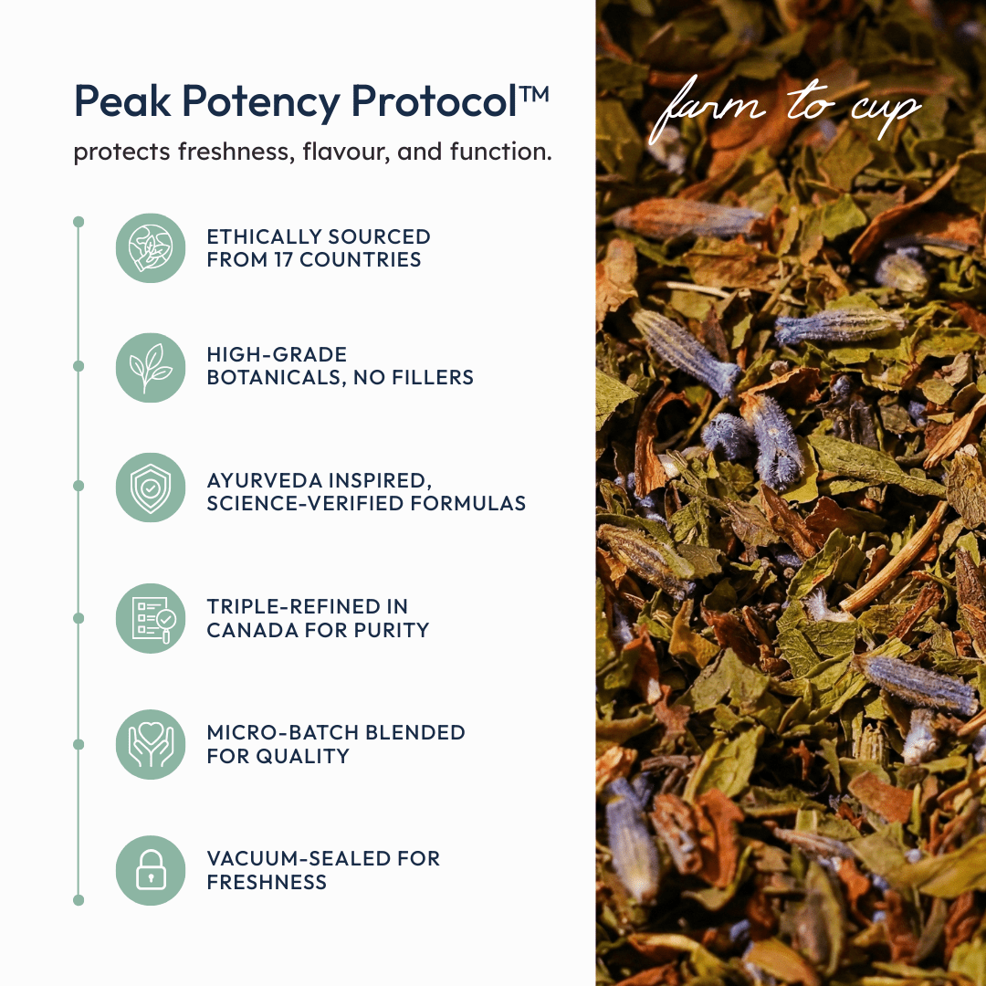 Minty Fresh - EQ State