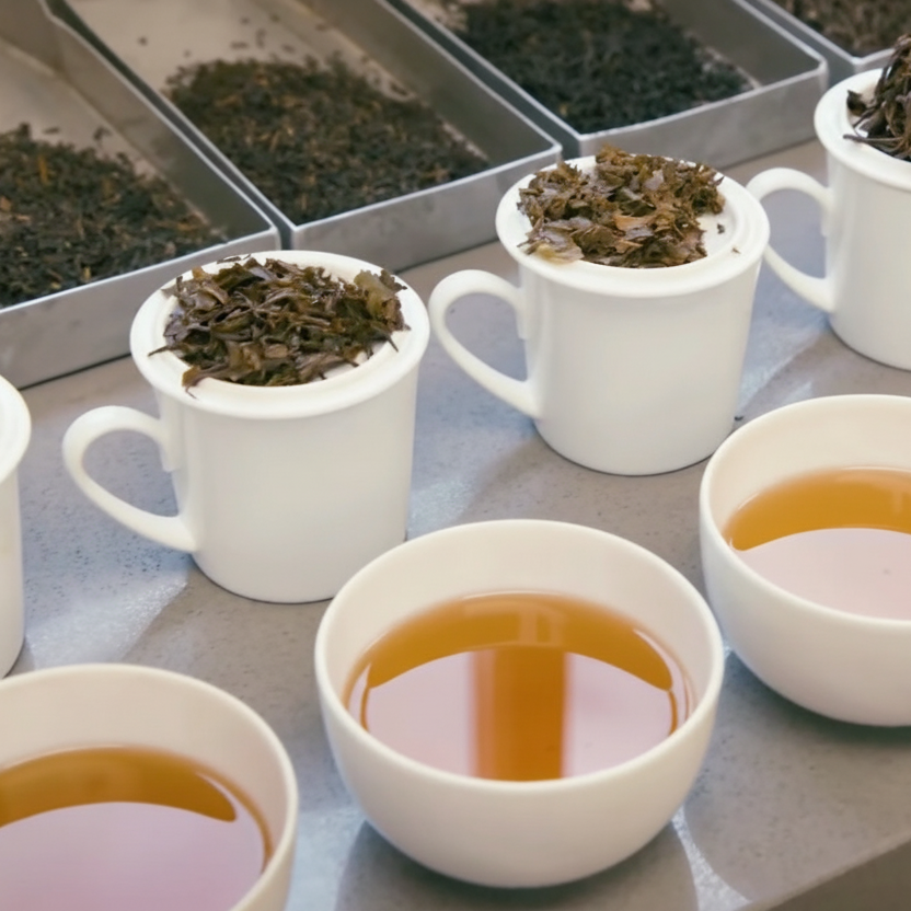 Tea sampling with tea cups and loose tea